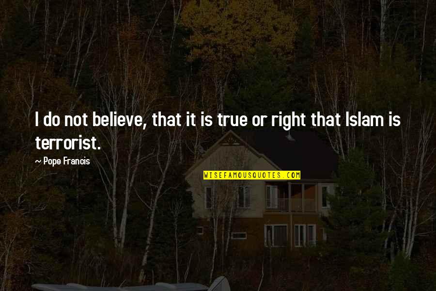Islam Or Quotes By Pope Francis: I do not believe, that it is true