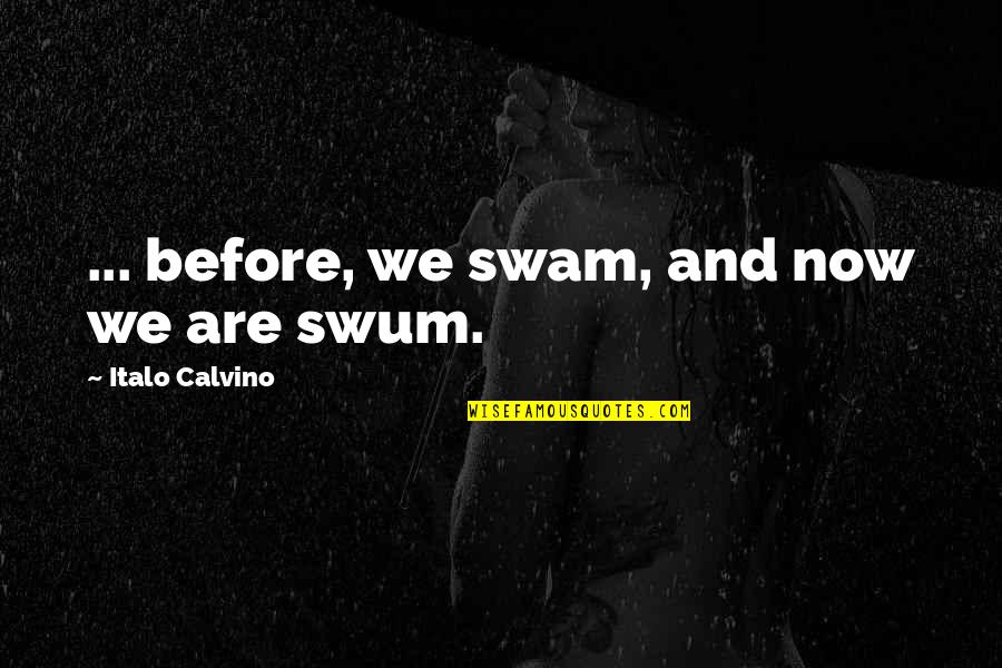 Islamic Caliphate Quotes By Italo Calvino: ... before, we swam, and now we are