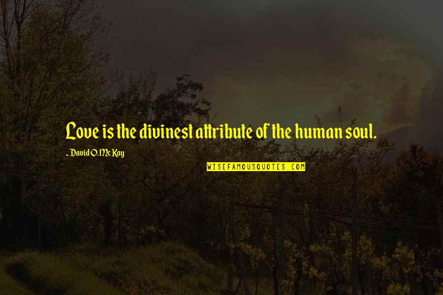 Islamic Culture Quotes By David O. McKay: Love is the divinest attribute of the human