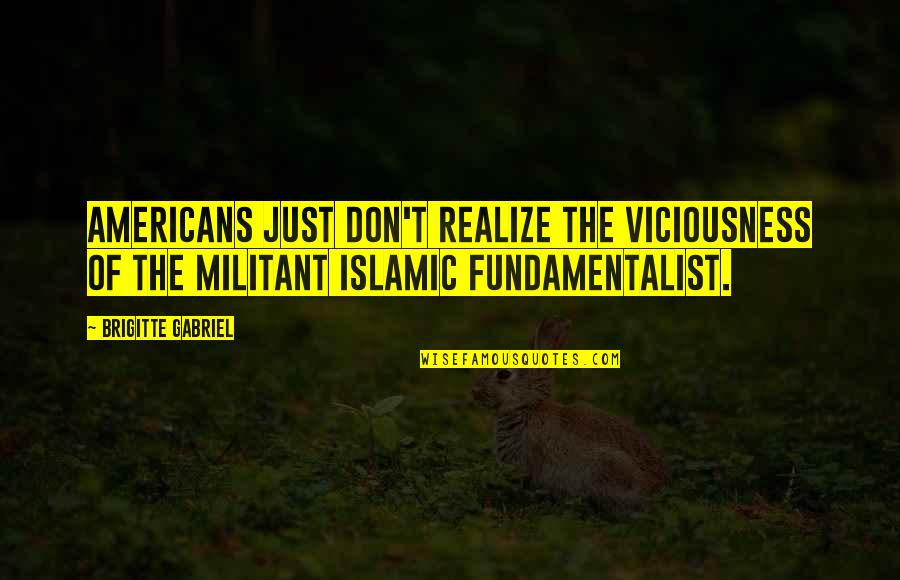 Islamic Fundamentalist Quotes By Brigitte Gabriel: Americans just don't realize the viciousness of the