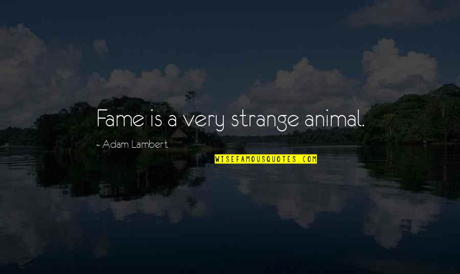 Islamic Quranic Quotes By Adam Lambert: Fame is a very strange animal.