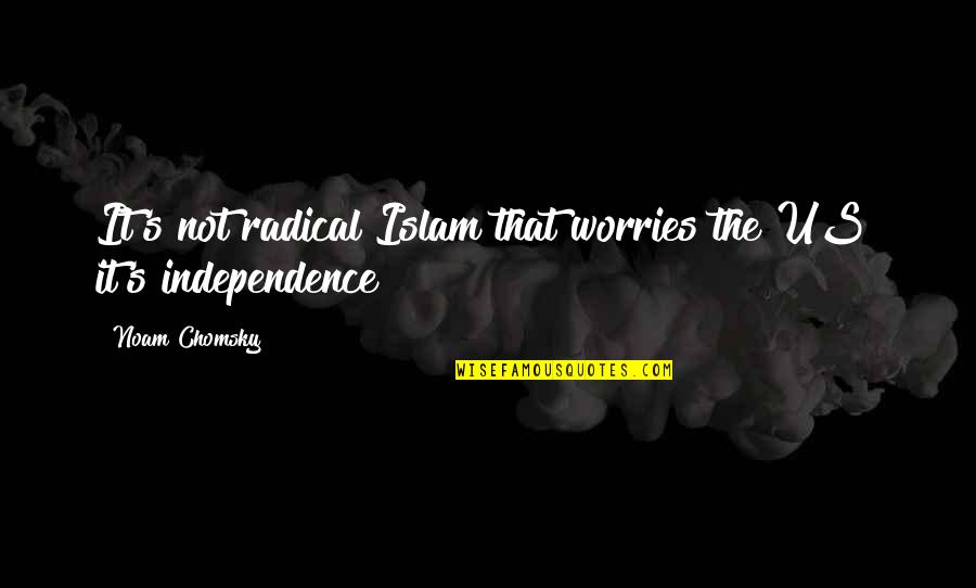 Islam's Quotes By Noam Chomsky: It's not radical Islam that worries the US