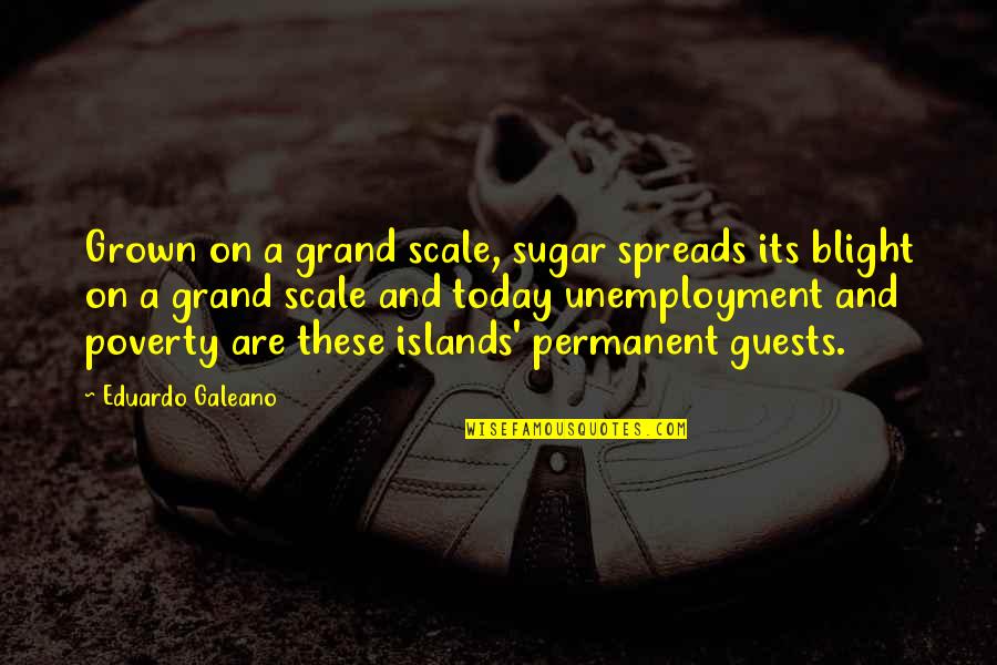 Islands Quotes By Eduardo Galeano: Grown on a grand scale, sugar spreads its