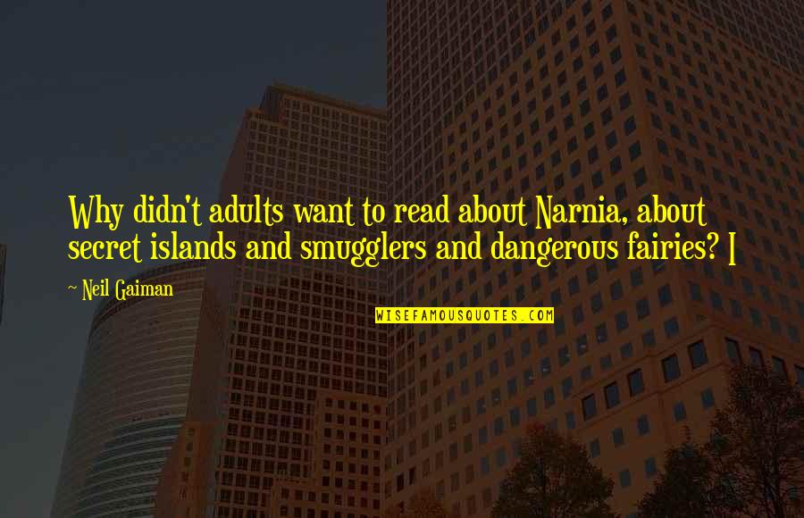 Islands Quotes By Neil Gaiman: Why didn't adults want to read about Narnia,