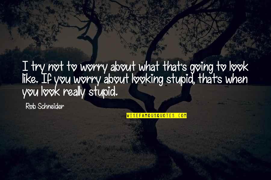 Isley Quotes By Rob Schneider: I try not to worry about what that's Isley Quotes By Rob Schneider: I try not to worry about what that's