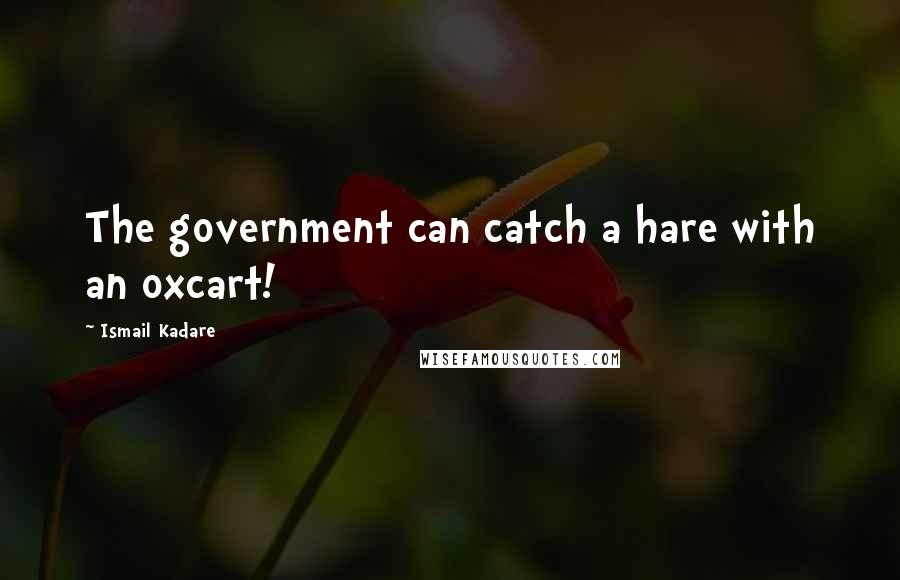 Ismail Kadare quotes: The government can catch a hare with an oxcart!