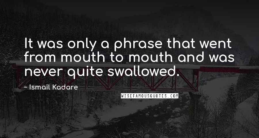 Ismail Kadare quotes: It was only a phrase that went from mouth to mouth and was never quite swallowed.