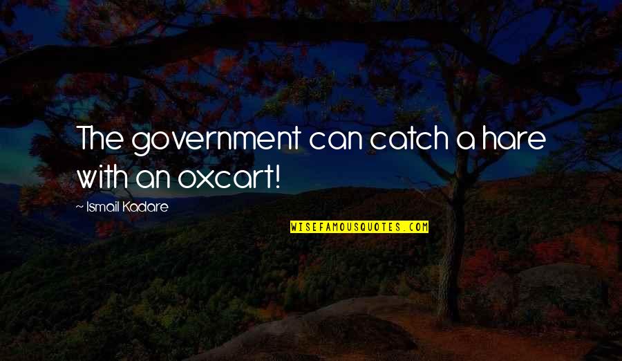Ismail Kadare Quotes By Ismail Kadare: The government can catch a hare with an Ismail Kadare Quotes By Ismail Kadare: The government can catch a hare with an