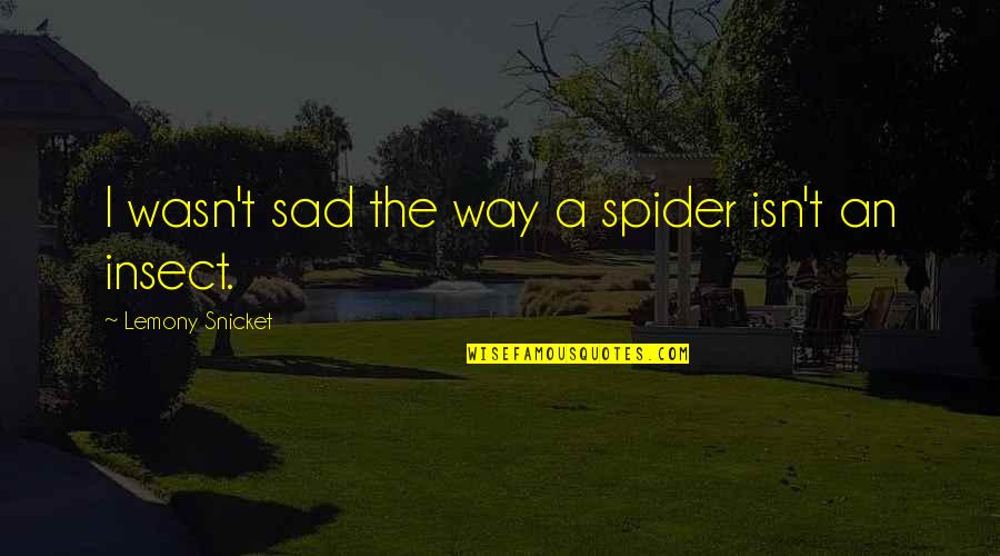 Isn't It Sad Quotes By Lemony Snicket: I wasn't sad the way a spider isn't