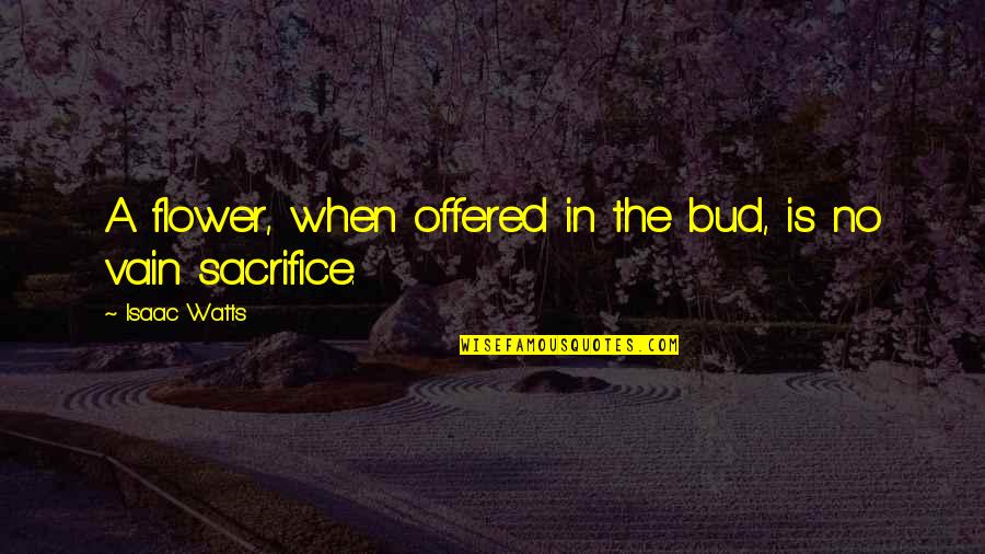 Isolated Path Quotes By Isaac Watts: A flower, when offered in the bud, is Isolated Path Quotes By Isaac Watts: A flower, when offered in the bud, is