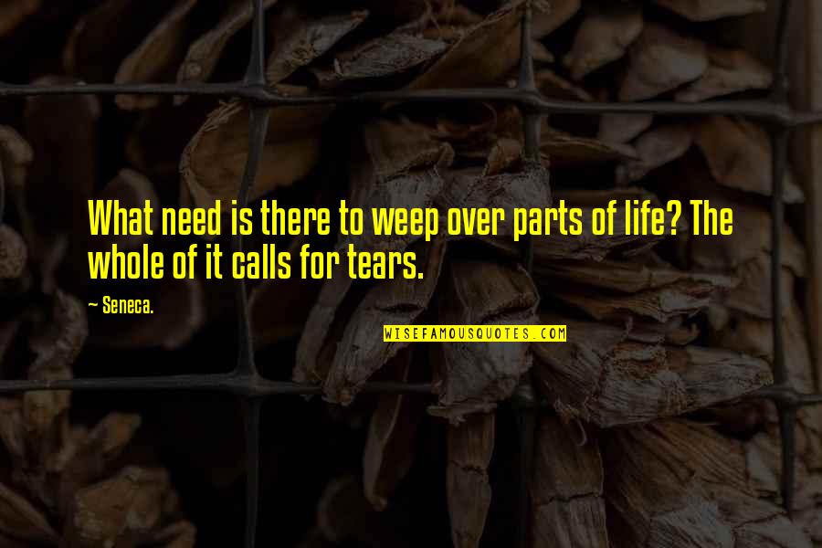 Isoldi Bookkeeping Quotes By Seneca.: What need is there to weep over parts