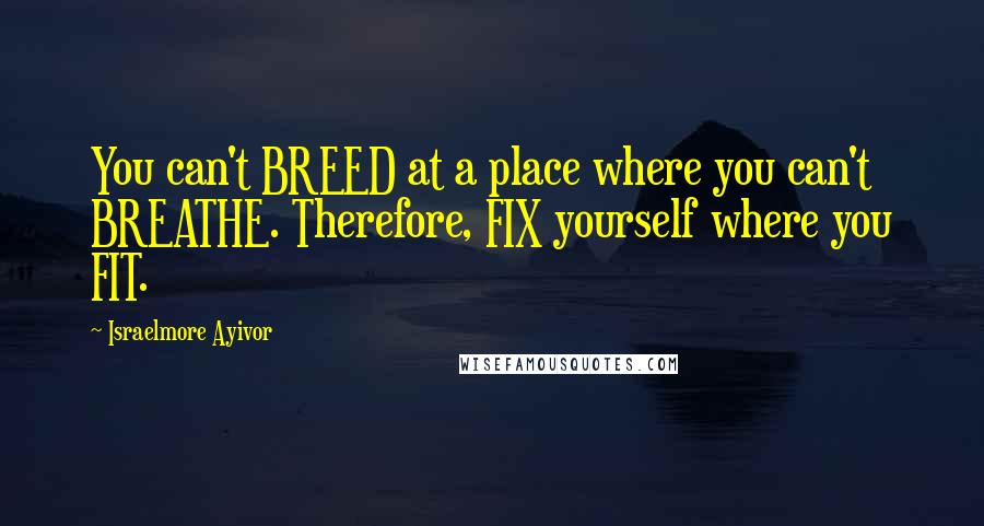 Israelmore Ayivor quotes: You can't BREED at a place where you can't BREATHE. Therefore, FIX yourself where you FIT.