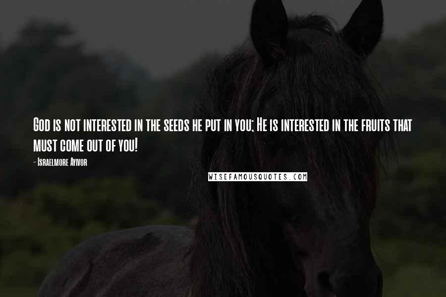 Israelmore Ayivor quotes: God is not interested in the seeds he put in you; He is interested in the fruits that must come out of you!