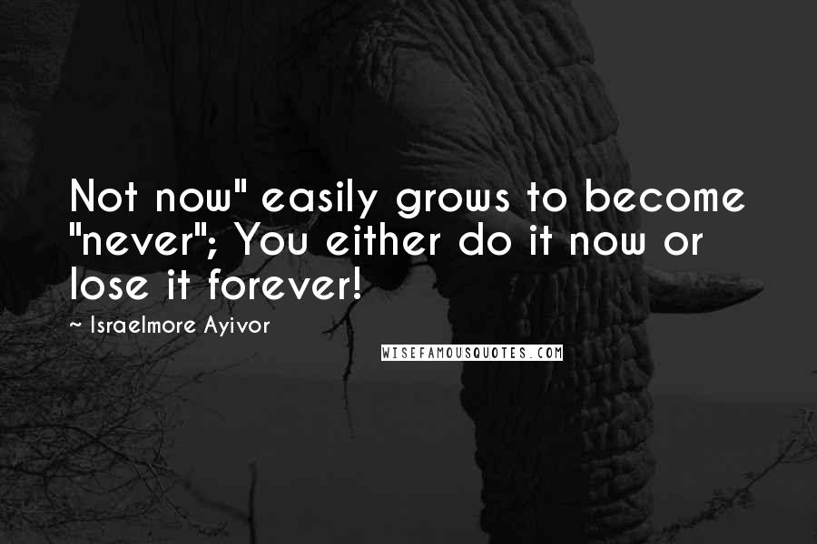 Israelmore Ayivor quotes: Not now" easily grows to become "never"; You either do it now or lose it forever!