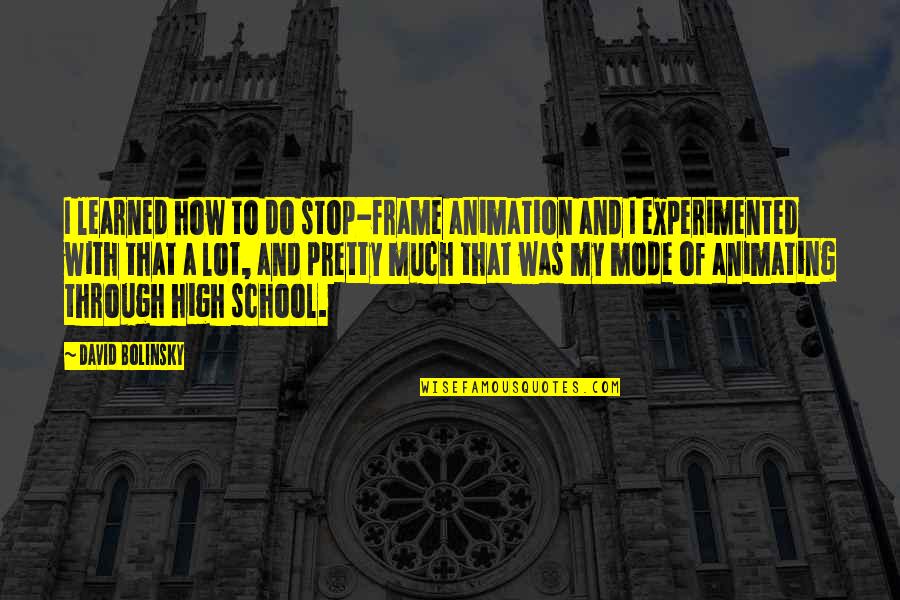 Isshin Bleach Quotes By David Bolinsky: I learned how to do stop-frame animation and