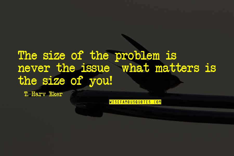Issue Or Problem Quotes By T. Harv Eker: The size of the problem is never the