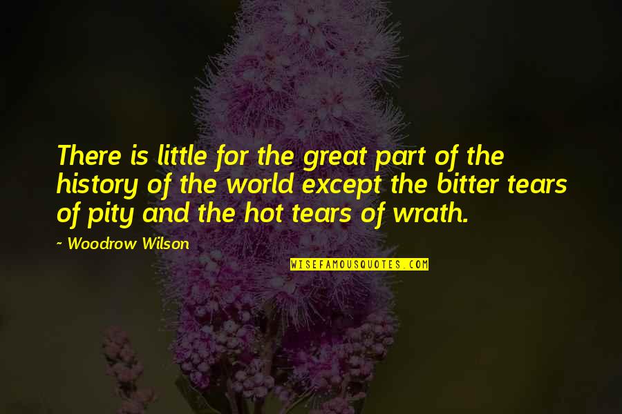 Istemeye Geldiler Quotes By Woodrow Wilson: There is little for the great part of Istemeye Geldiler Quotes By Woodrow Wilson: There is little for the great part of