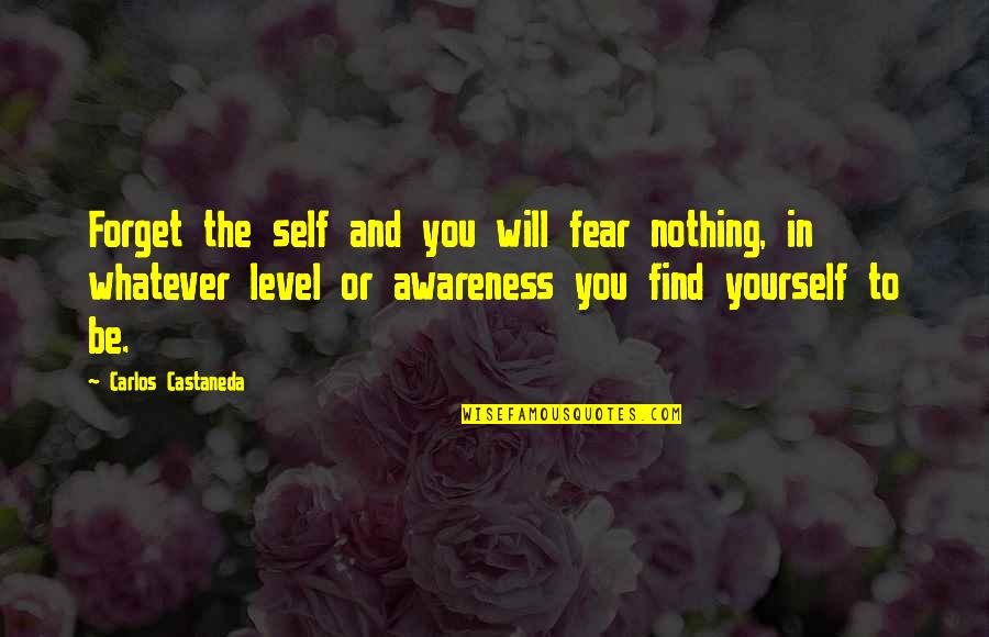 Istesem Quotes By Carlos Castaneda: Forget the self and you will fear nothing,
