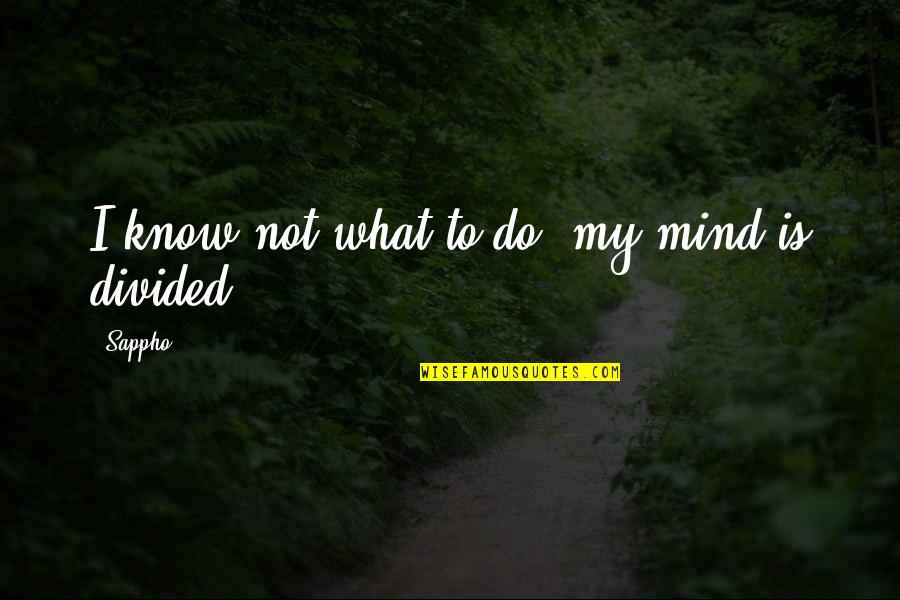Istimewanya Quotes By Sappho: I know not what to do, my mind