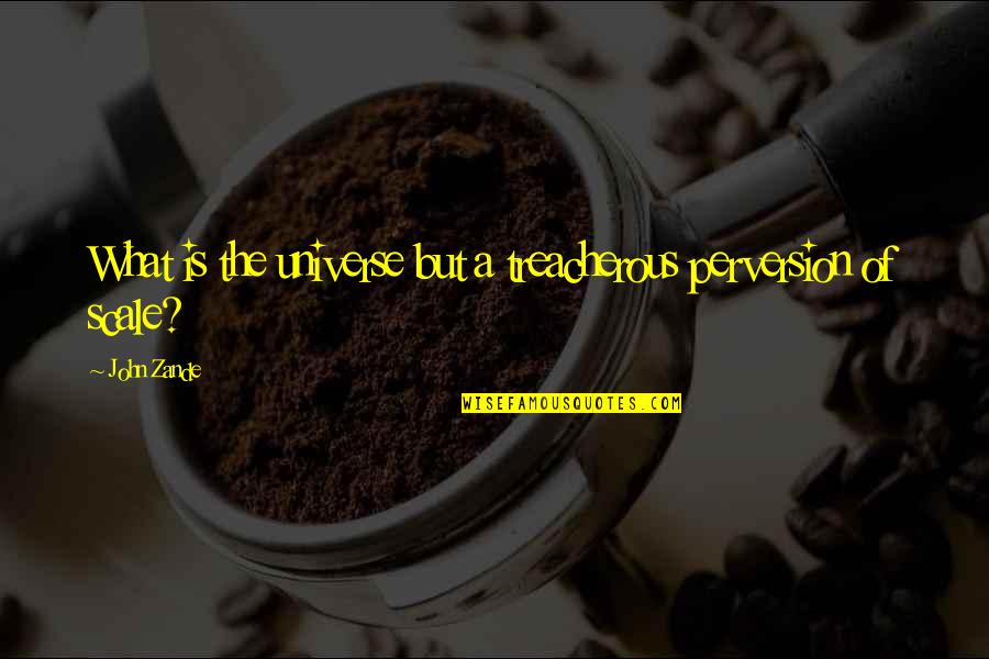 Istinto 1070 Quotes By John Zande: What is the universe but a treacherous perversion