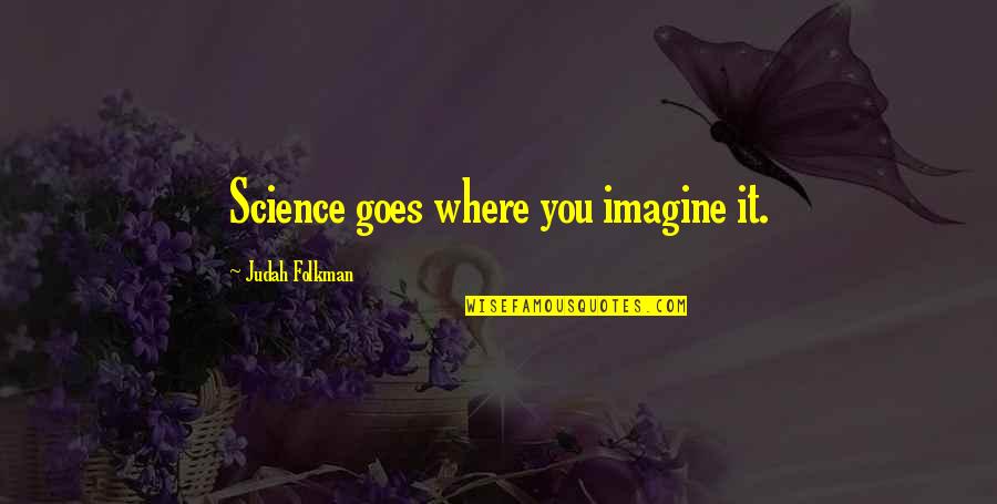 Istruire La Quotes By Judah Folkman: Science goes where you imagine it.