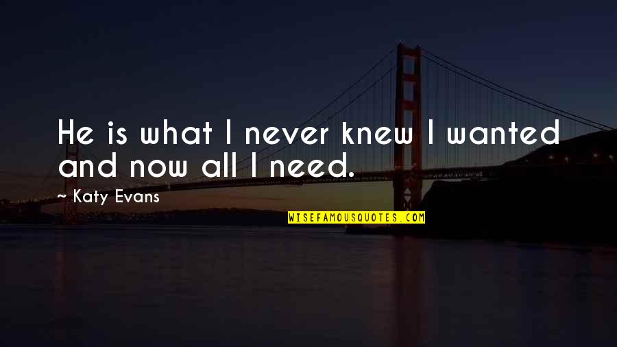 It Being Hard To Love Quotes By Katy Evans: He is what I never knew I wanted It Being Hard To Love Quotes By Katy Evans: He is what I never knew I wanted
