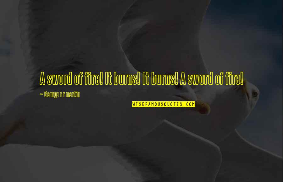 It Being Hard To Move On Quotes By George R R Martin: A sword of fire! It burns! It burns! It Being Hard To Move On Quotes By George R R Martin: A sword of fire! It burns! It burns!