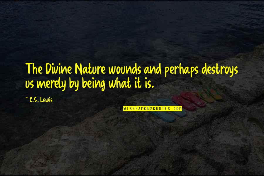 It Being What It Is Quotes By C.S. Lewis: The Divine Nature wounds and perhaps destroys us