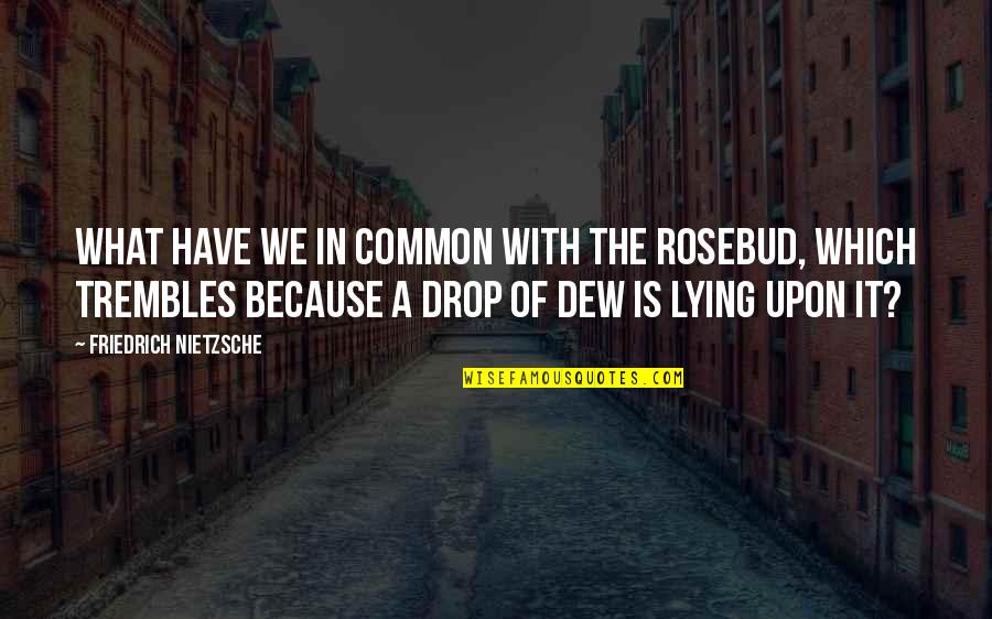 It Being What It Is Quotes By Friedrich Nietzsche: What have we in common with the rosebud,