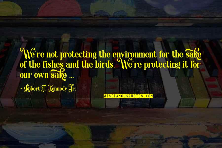 It Birds Quotes By Robert F. Kennedy Jr.: We're not protecting the environment for the sake It Birds Quotes By Robert F. Kennedy Jr.: We're not protecting the environment for the sake