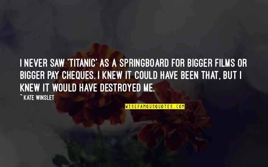 It Could Have Been Me Quotes By Kate Winslet: I never saw 'Titanic' as a springboard for