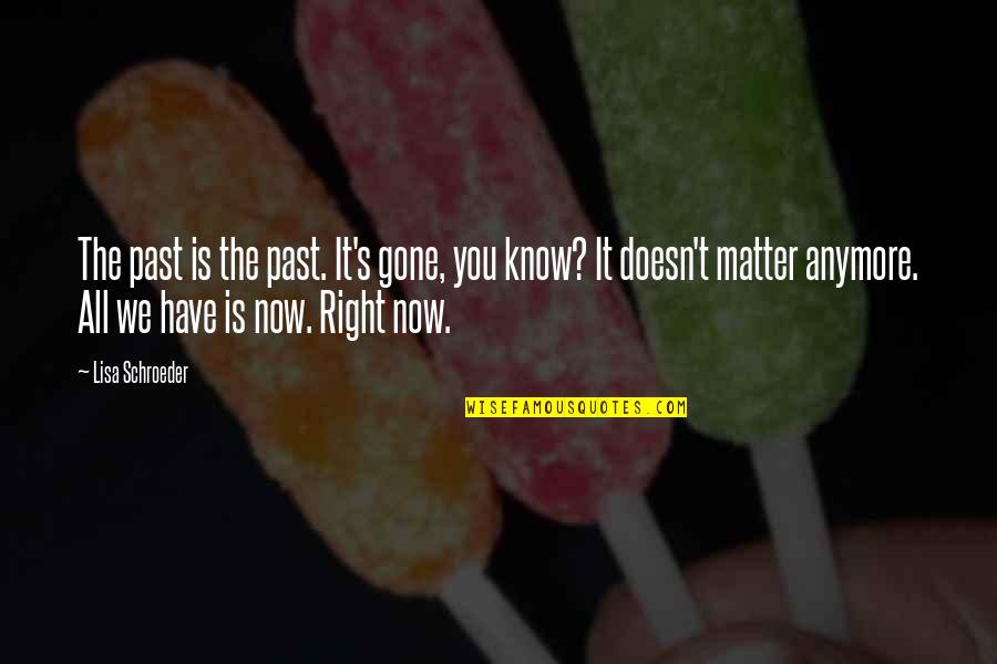 It Doesn't Even Matter Anymore Quotes By Lisa Schroeder: The past is the past. It's gone, you