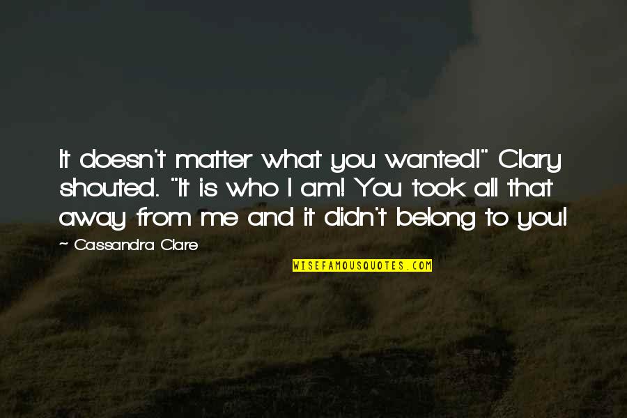 It Doesn't Matter Who I Am Quotes By Cassandra Clare: It doesn't matter what you wanted!" Clary shouted.