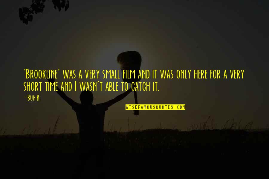 It Film Quotes By Bun B.: 'Brookline' was a very small film and it It Film Quotes By Bun B.: 'Brookline' was a very small film and it