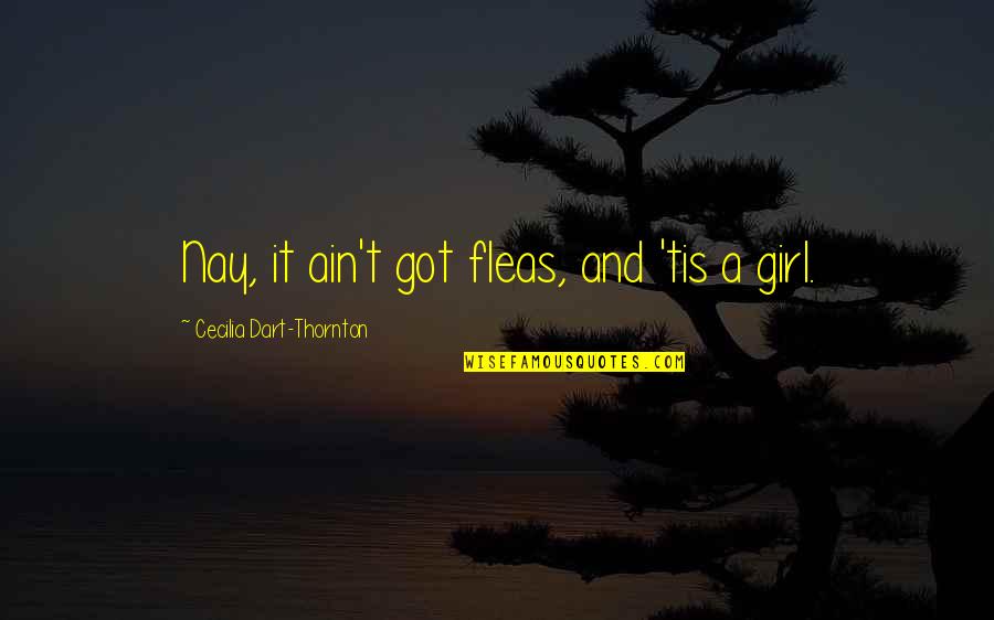 It Girl Quotes By Cecilia Dart-Thornton: Nay, it ain't got fleas, and 'tis a