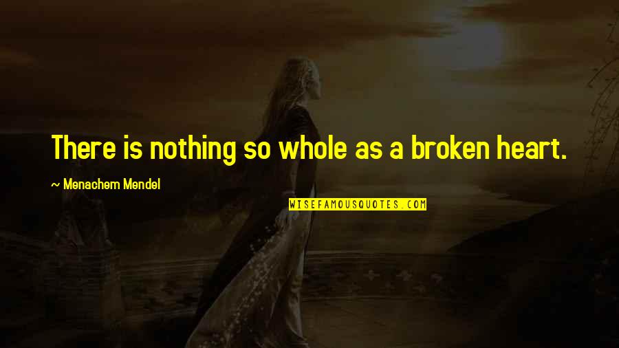It Hurts Me Alot Quotes By Menachem Mendel: There is nothing so whole as a broken