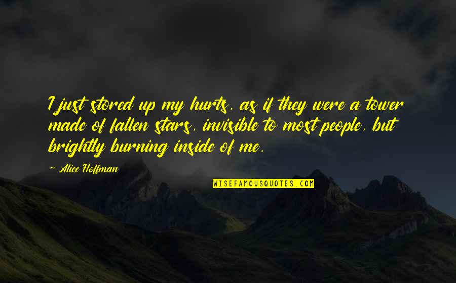 It Hurts Me Inside Quotes By Alice Hoffman: I just stored up my hurts, as if