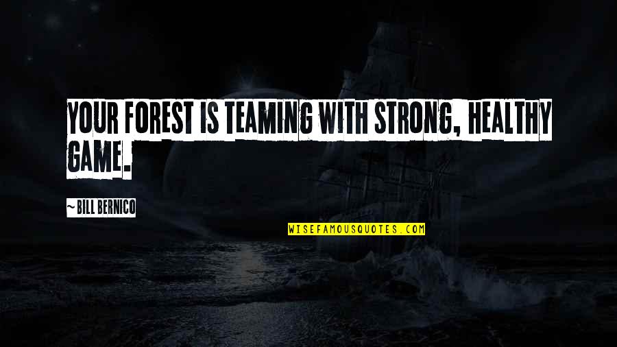 It Hurts When You Love Someone Quotes By Bill Bernico: your forest is teaming with strong, healthy game.