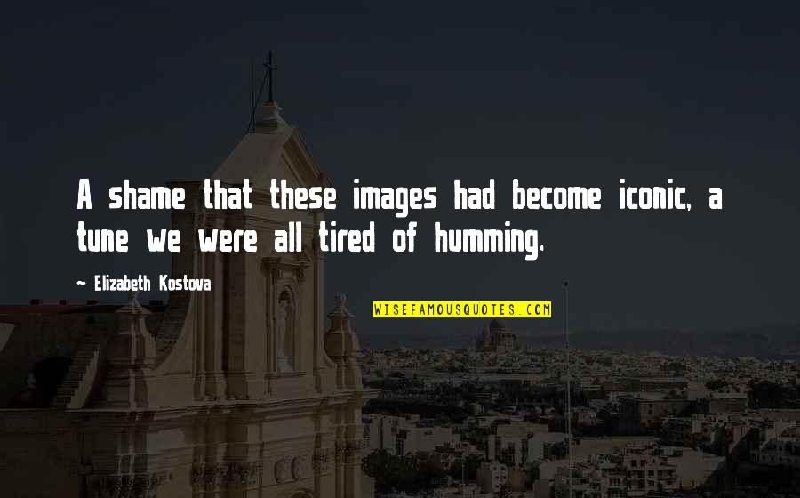 It Iconic Quotes By Elizabeth Kostova: A shame that these images had become iconic,