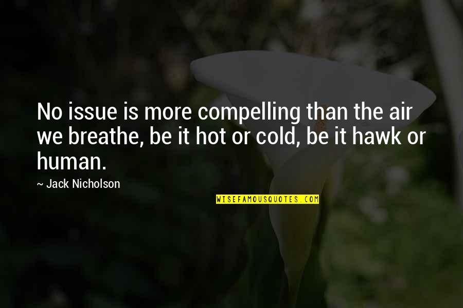 It Is Hot Quotes By Jack Nicholson: No issue is more compelling than the air
