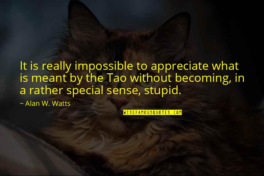 It Is Meant Quotes By Alan W. Watts: It is really impossible to appreciate what is