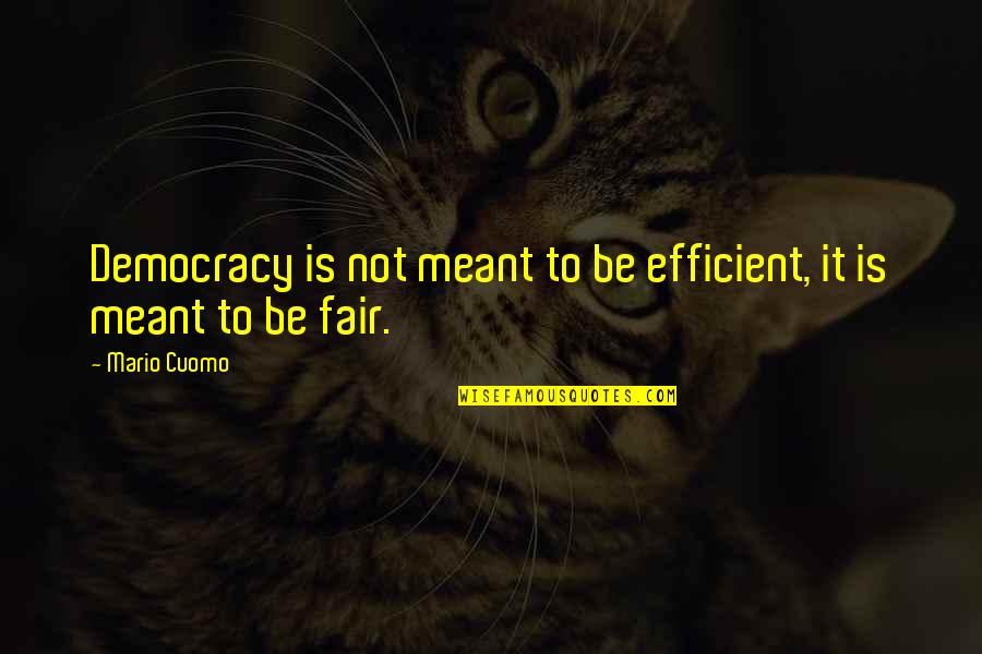 It Is Meant Quotes By Mario Cuomo: Democracy is not meant to be efficient, it
