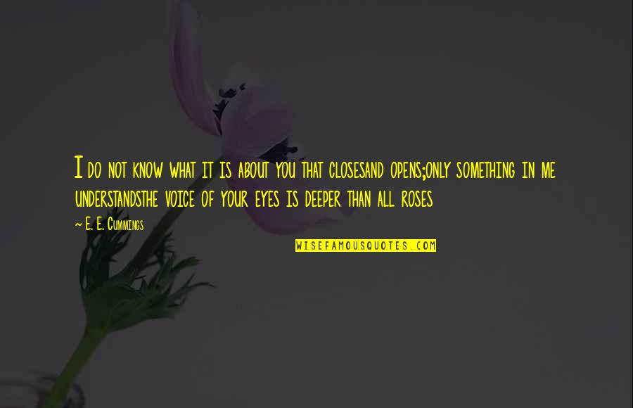 It Is Not All About You Quotes By E. E. Cummings: I do not know what it is about