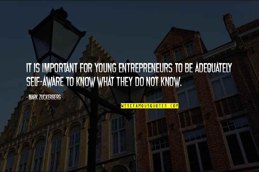 It Is Not Important Quotes By Mark Zuckerberg: It is important for young entrepreneurs to be It Is Not Important Quotes By Mark Zuckerberg: It is important for young entrepreneurs to be