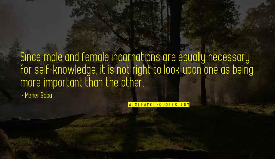 It Is Not Important Quotes By Meher Baba: Since male and female incarnations are equally necessary It Is Not Important Quotes By Meher Baba: Since male and female incarnations are equally necessary