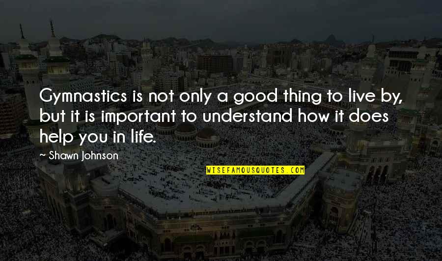 It Is Not Important Quotes By Shawn Johnson: Gymnastics is not only a good thing to