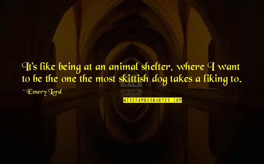 It Just Takes One Quotes By Emery Lord: It's like being at an animal shelter, where