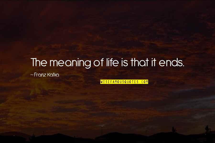 It Life Quotes By Franz Kafka: The meaning of life is that it ends.