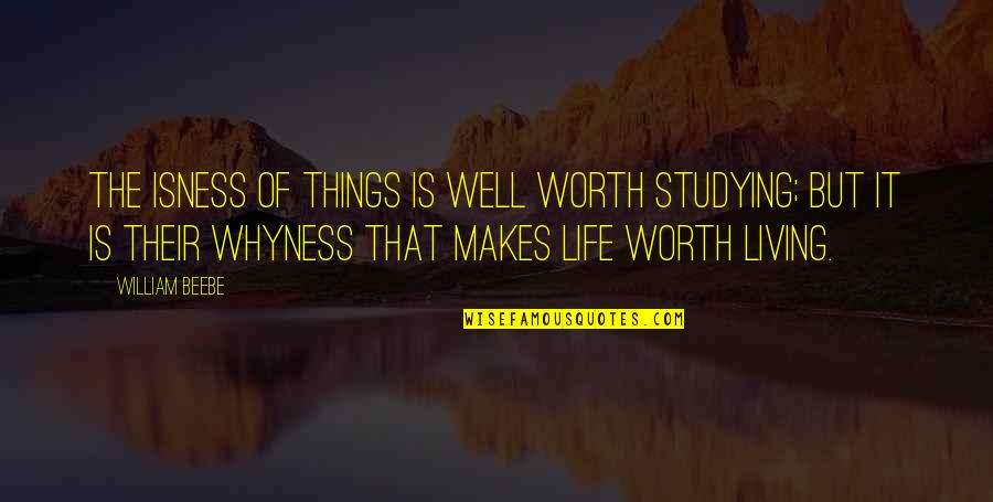 It Life Quotes By William Beebe: The isness of things is well worth studying;