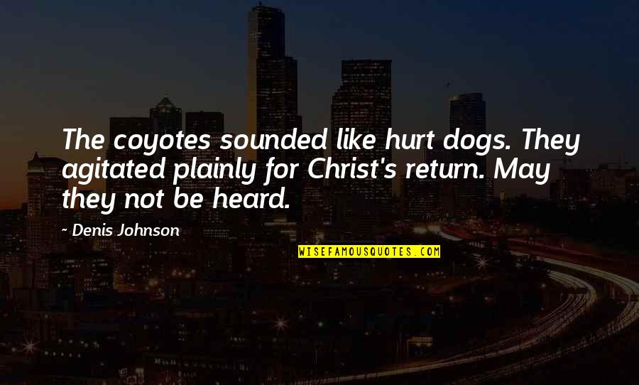 It May Hurt Now Quotes By Denis Johnson: The coyotes sounded like hurt dogs. They agitated